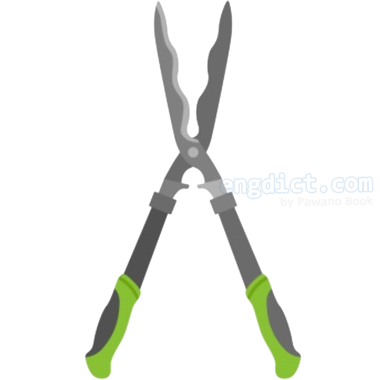 ้Hedge Clipper (เฮจ คลิพเพอะ) แปลว่าอะไร? ดูความหมาย ภาพประกอบ  ตัวอย่างประโยค | Engdict.Com