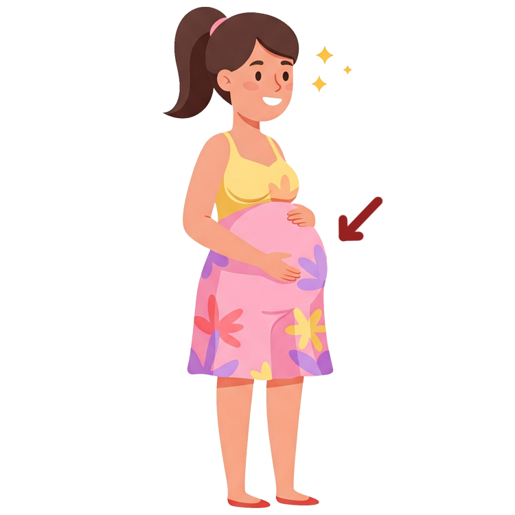 abdomen แปลว่า ช่วงท้อง