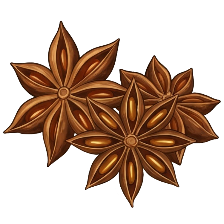 aniseed แปลว่า เมล็ดพืชใช้แต่งกลิ่นแต่งรส