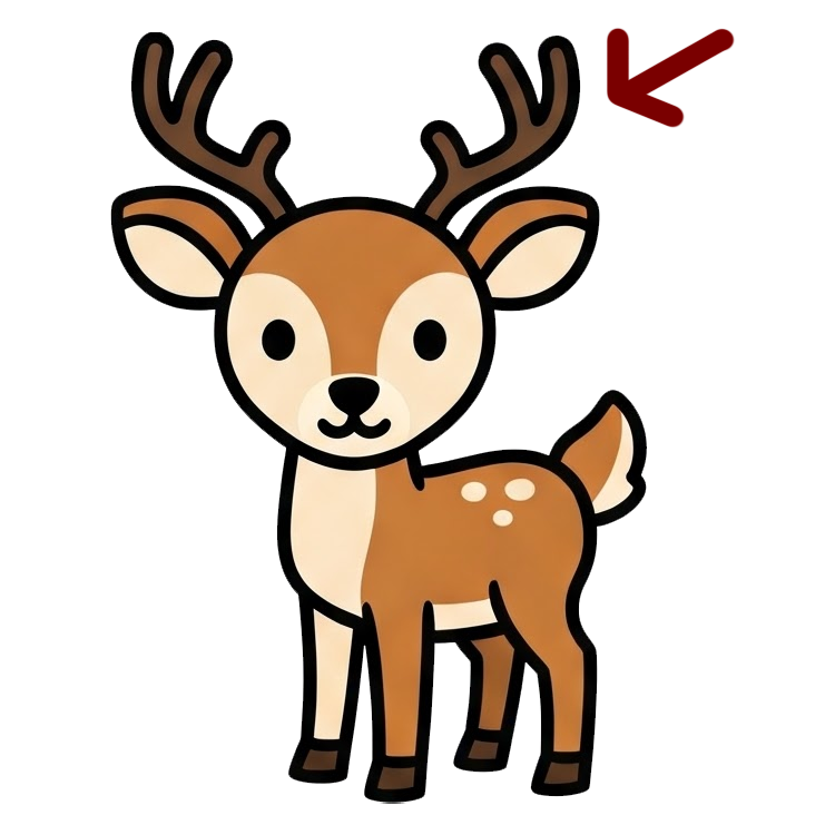 antler แปลว่า เขากวาง