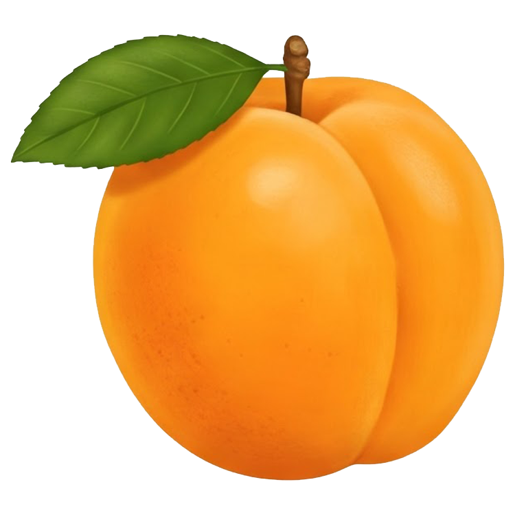 apricot แปลว่า ผลแอปริคอท