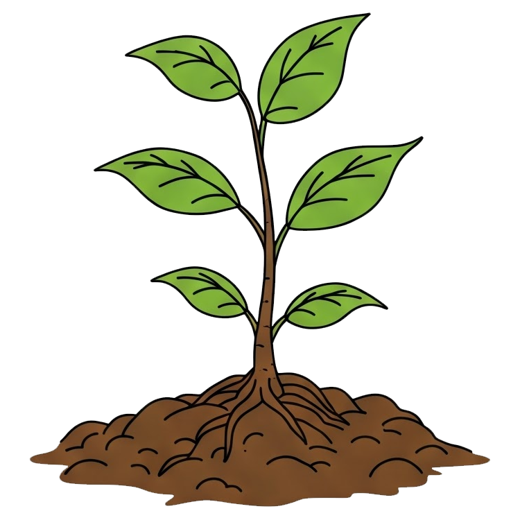 arise แปลว่า เกิดขึ้น