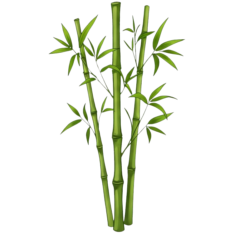 bamboo แปลว่า ไม้ไผ่