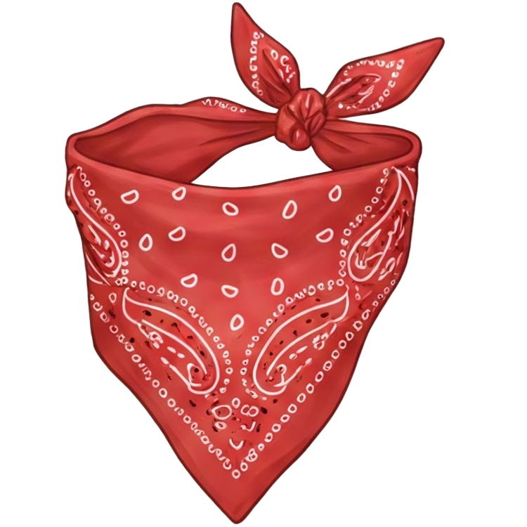 bandana แปลว่า ผ้าเช็ดหน้าขนาดใหญ่