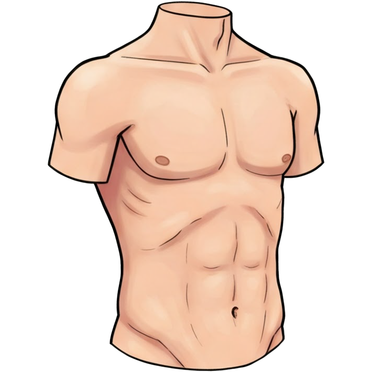 bare แปลว่า เปิดเผย,เปลือย