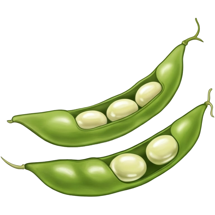 bean แปลว่า ถั่ว