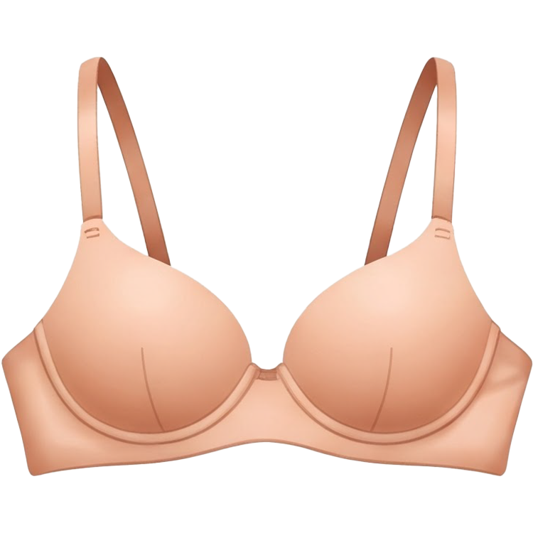 beeveedees แปลว่า ชุดชั้นใน