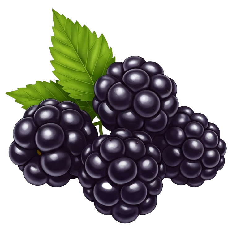 blackberry แปลว่า ผลแบล็กเบอร์รี่