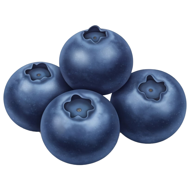 blueberry แปลว่า ผลบลูเบอร์รี่
