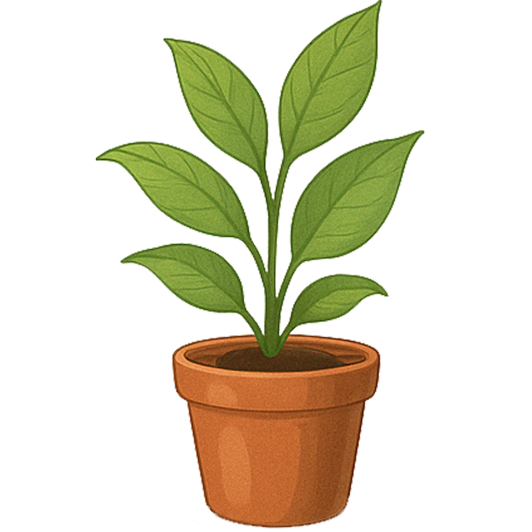 botany แปลว่า วิชาเกษตร