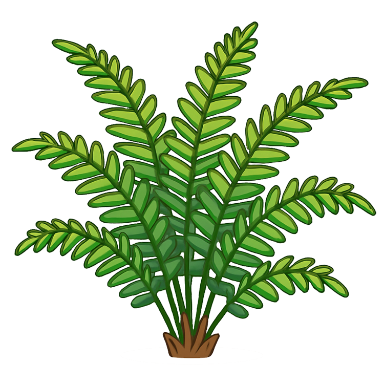 bracken แปลว่า ต้นเฟิร์น