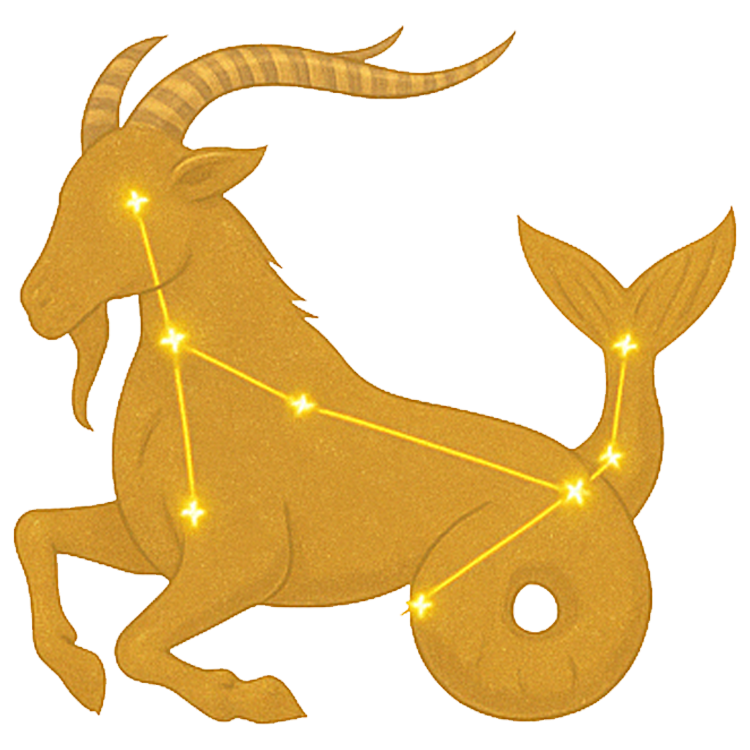 Capricorn แปลว่า จักรราศีมังกร (กลุ่มดาวแพะ)