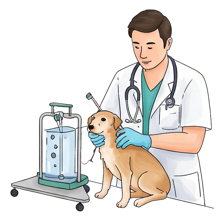 care for แปลว่า ดูแล