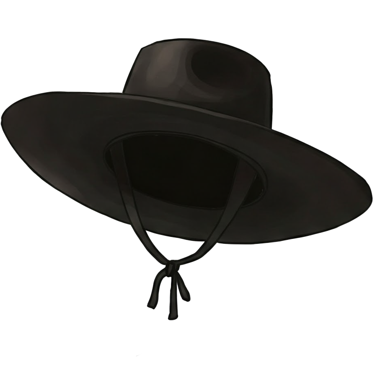 chapeau แปลว่า หมวก