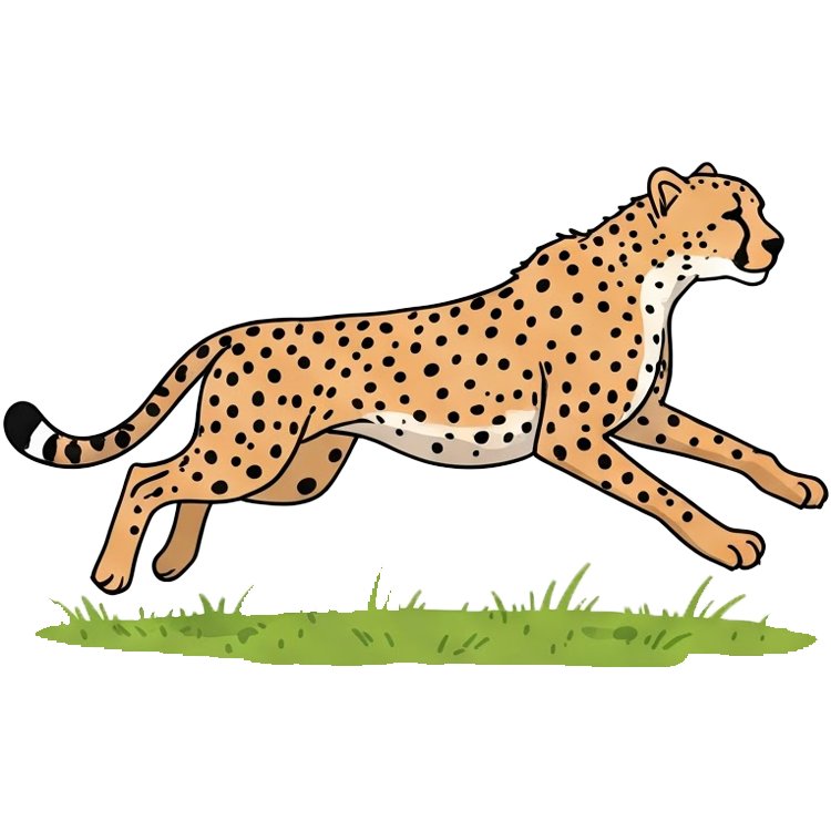 chase แปลว่า ไล่ตาม