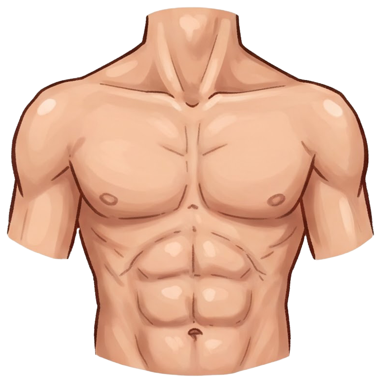 chest แปลว่า หน้าอก