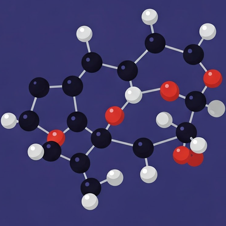 cholesterol แปลว่า คอเลสเตอรอล