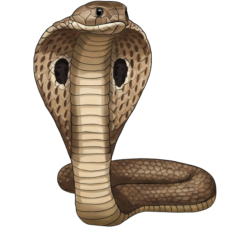 cobra แปลว่า งูเห่า