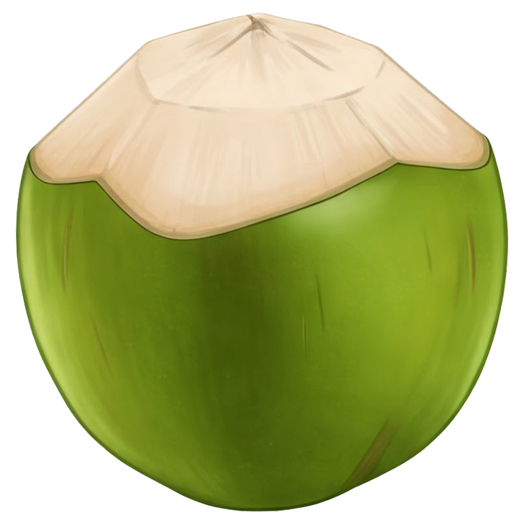 coconut แปลว่า มะพร้าว