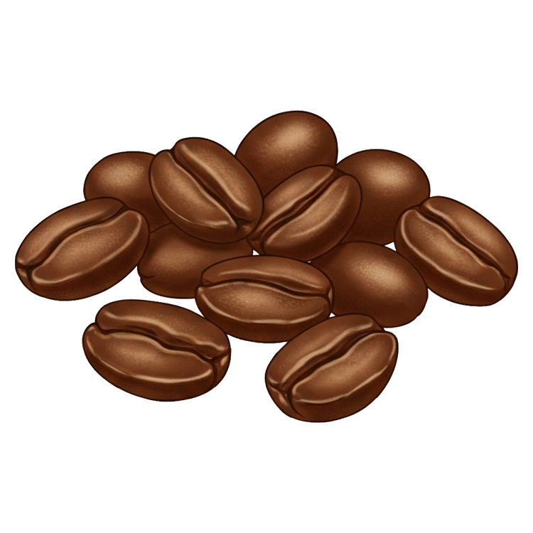 coffee แปลว่า เมล็ดกาแฟ