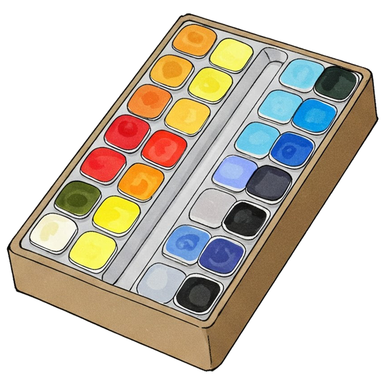 colour แปลว่า สี