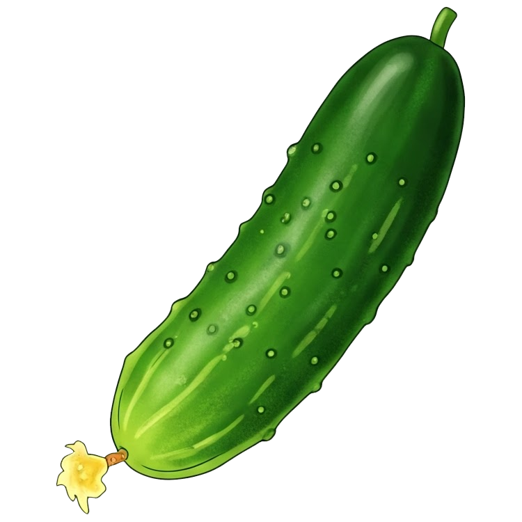 cucumber แปลว่า แตงกวา