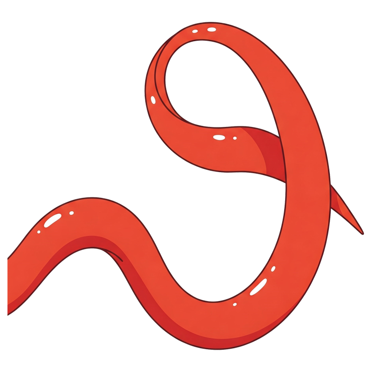 curve แปลว่า เส้นโค้ง