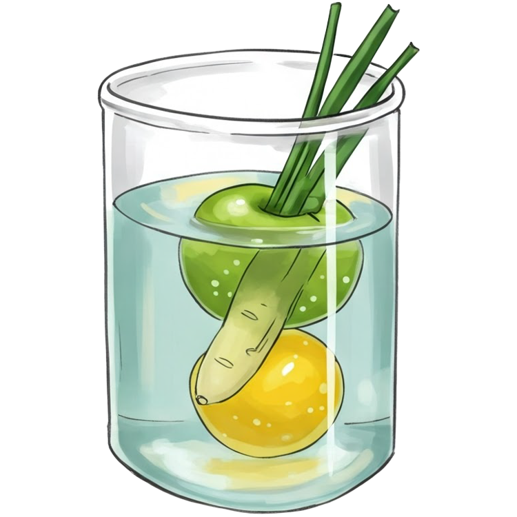 dip แปลว่า การจุ่ม,แช่