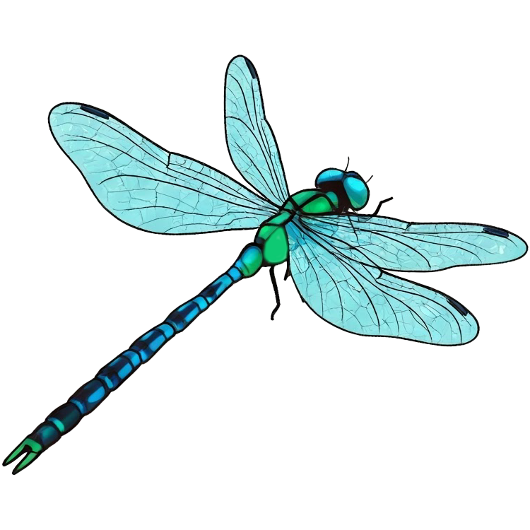 dragonfly แปลว่า แมลงปอ