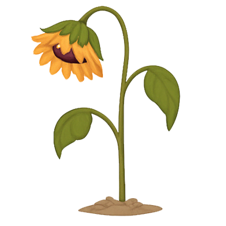 droop แปลว่า ห้อยลงมา