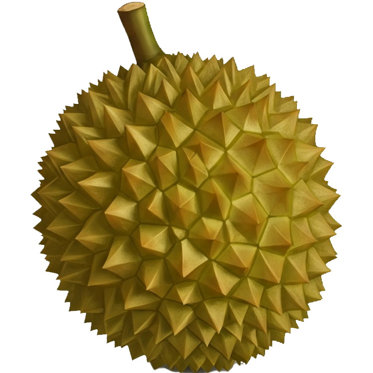 durian แปลว่า ทุเรียน