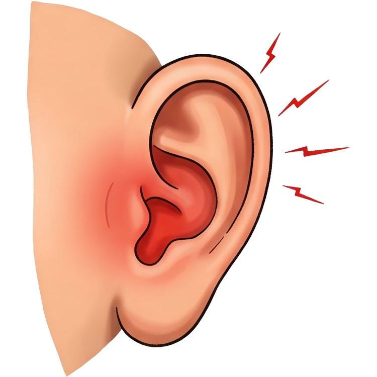 earache แปลว่า อาการปวดหู