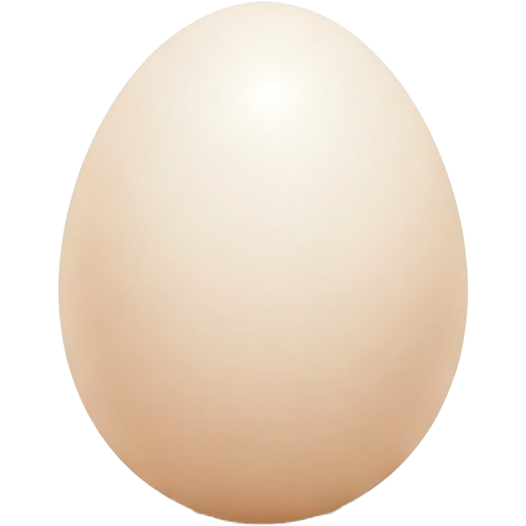 egg แปลว่า ไข่