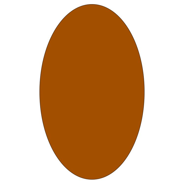 ellipse แปลว่า รูปวงรี