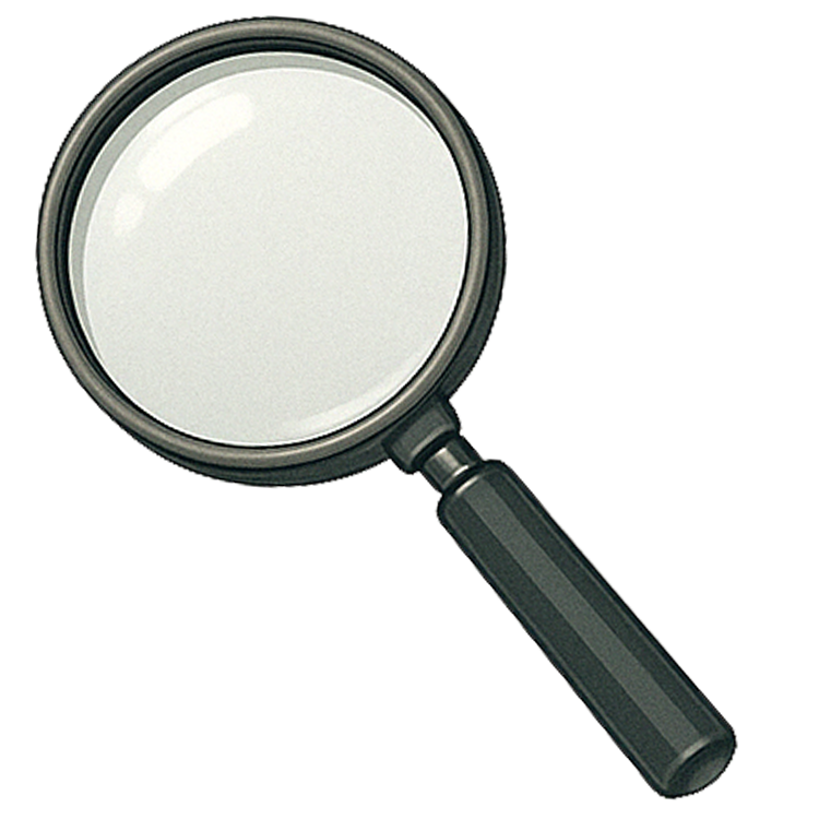 examine แปลว่า สอบสวน