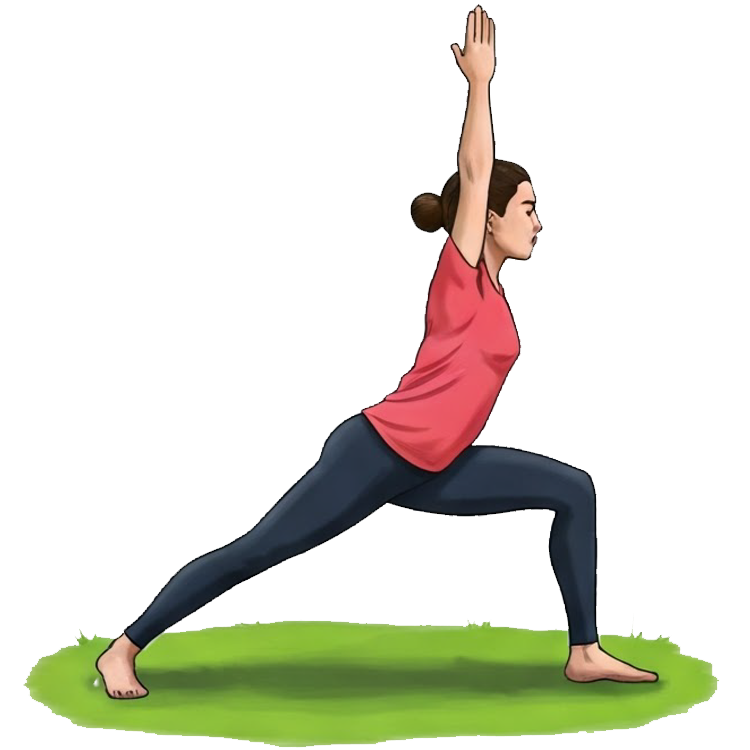 exercise แปลว่า การออกกำลังกาย