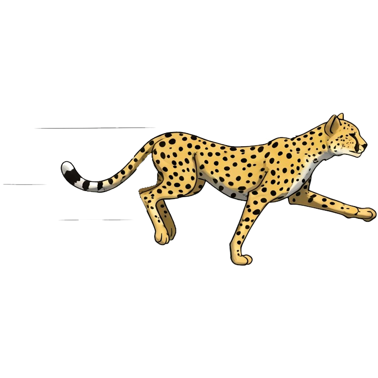 fast แปลว่า เร็ว