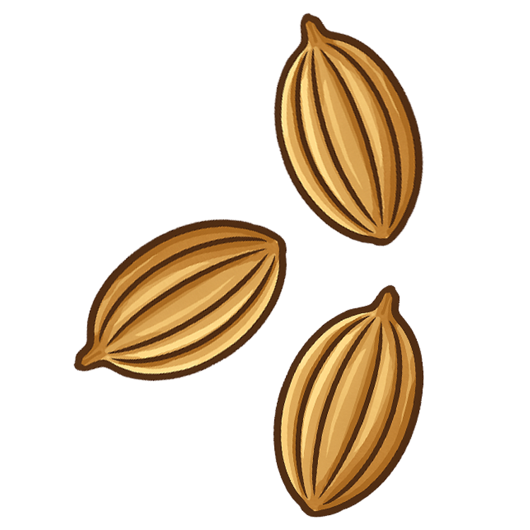 fennel แปลว่า ยี่หร่า