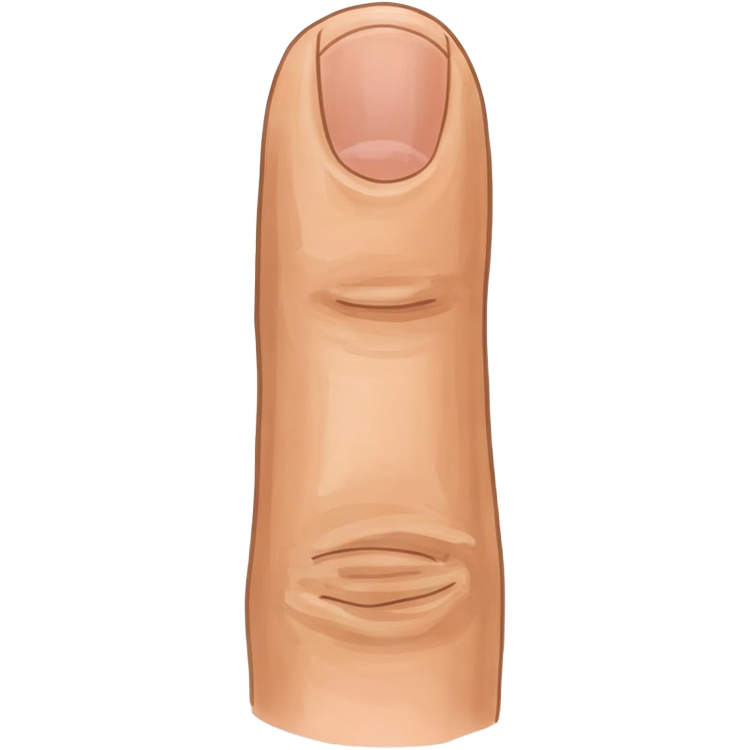 finger แปลว่า นิ้วมือ