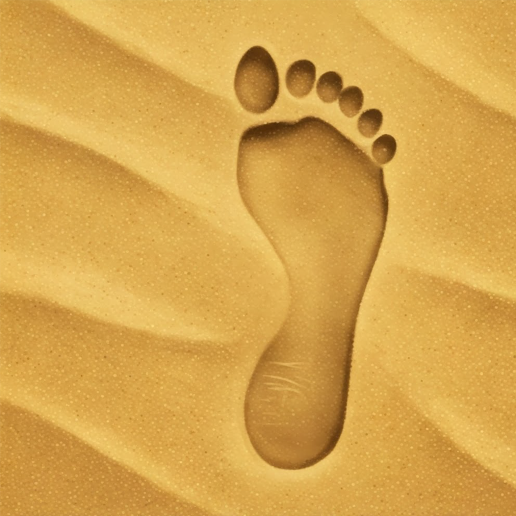 footprint แปลว่า รอยเท้า