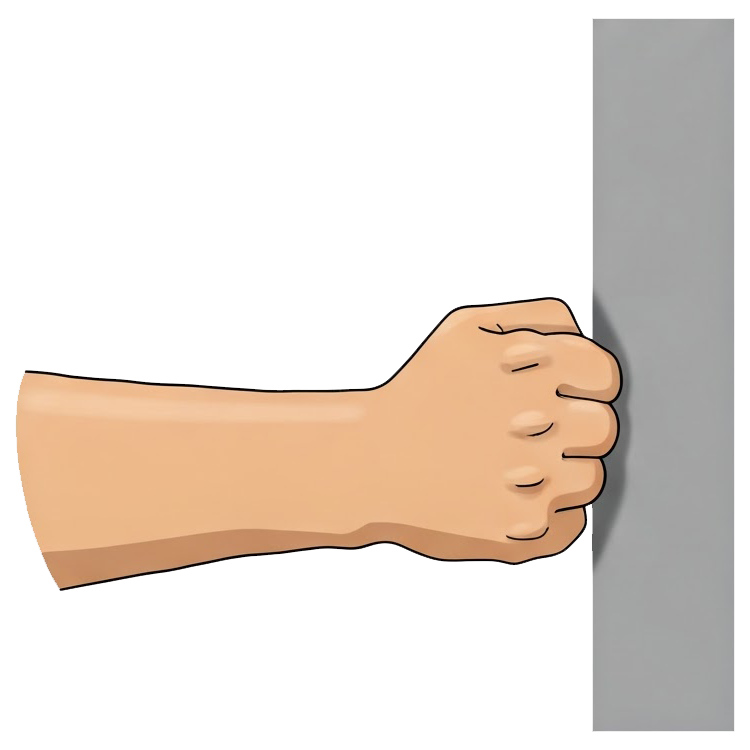 force แปลว่า บังคับ