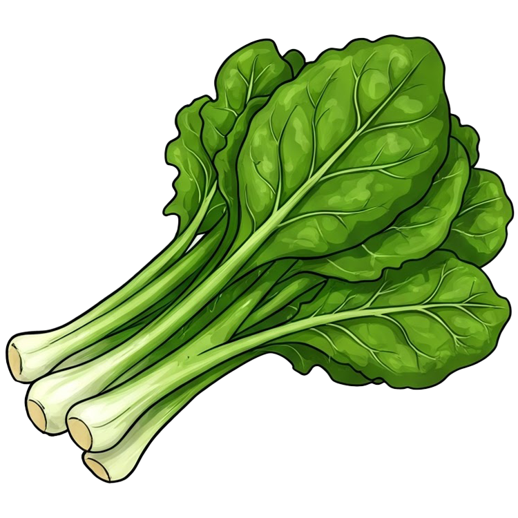 fresh แปลว่า สด,ใหม่