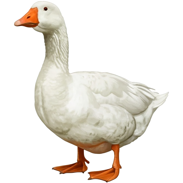 goose แปลว่า ห่าน