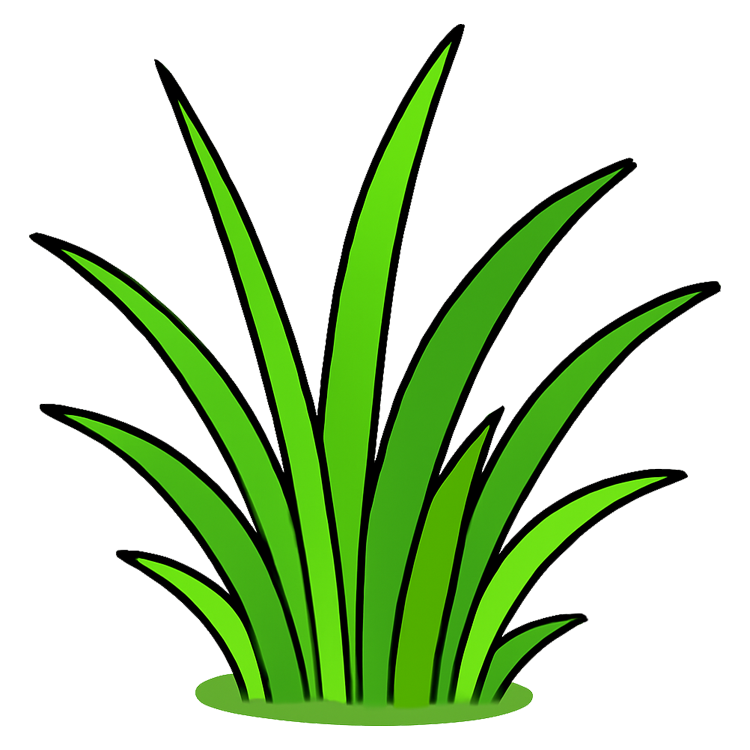 grass แปลว่า หญ้า