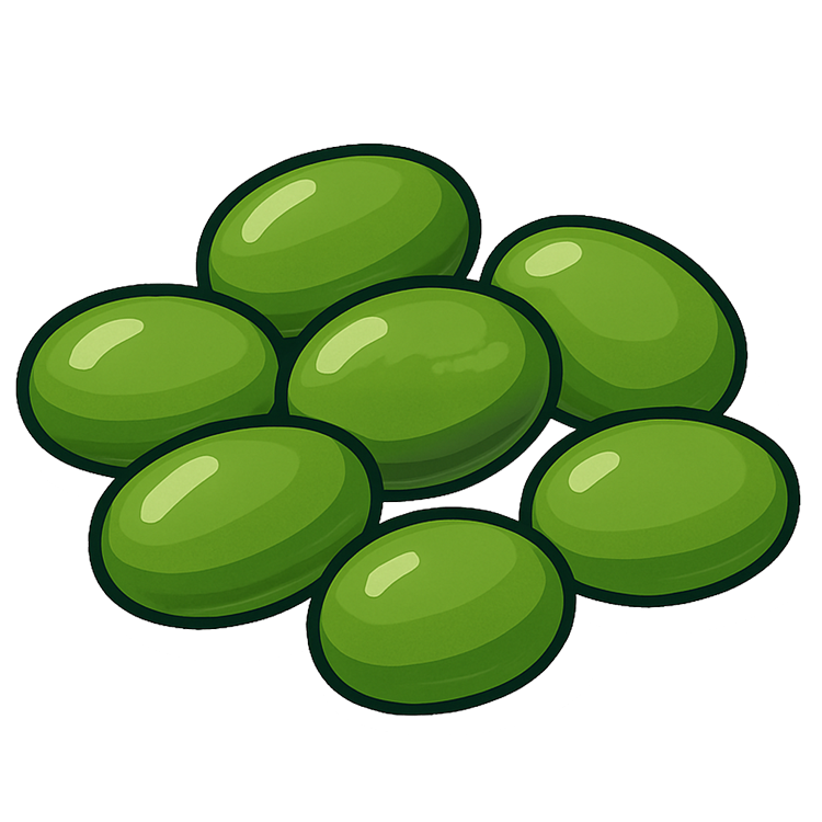 green bean แปลว่า ถั่วเขียว