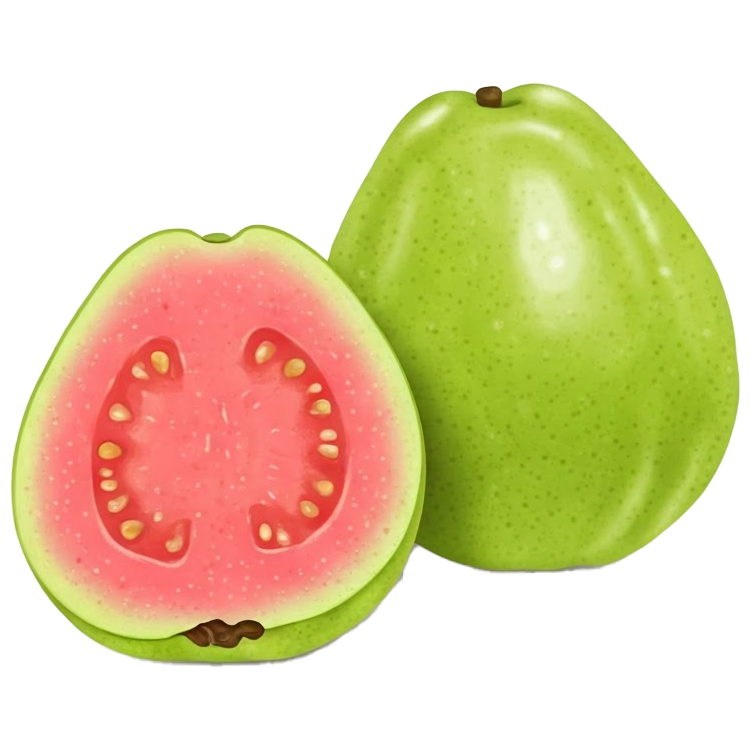 guava แปลว่า ฝรั่ง