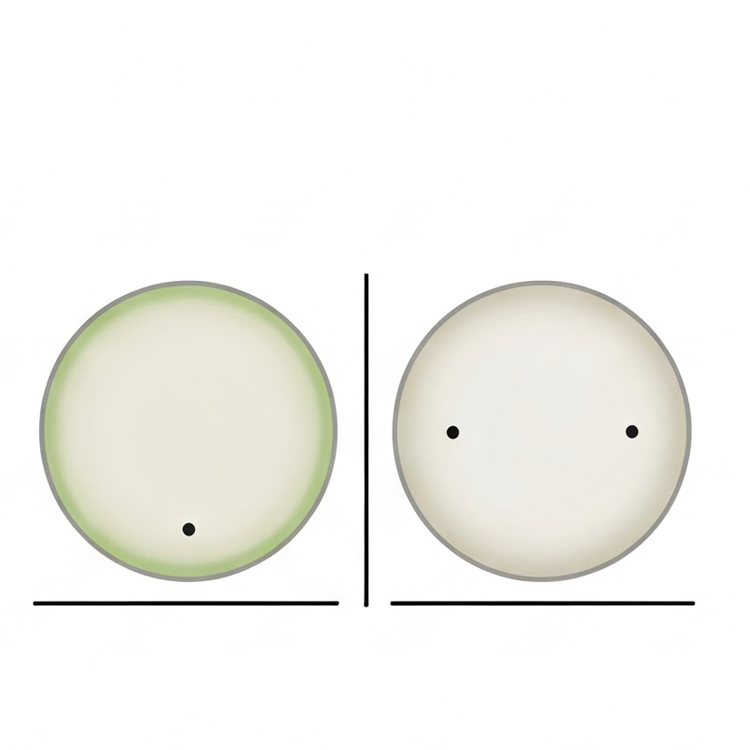 half แปลว่า ครึ่งหนึ่ง