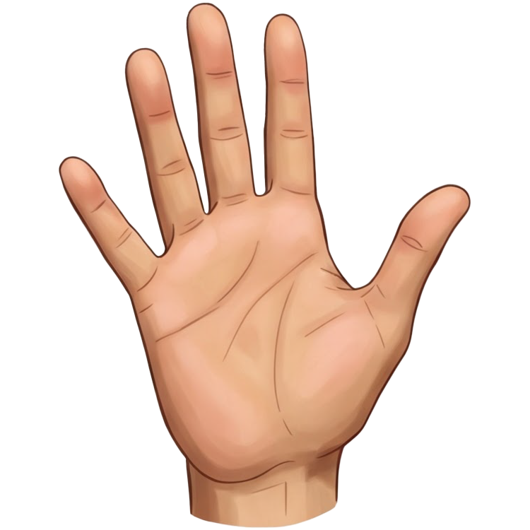 hand แปลว่า มือ