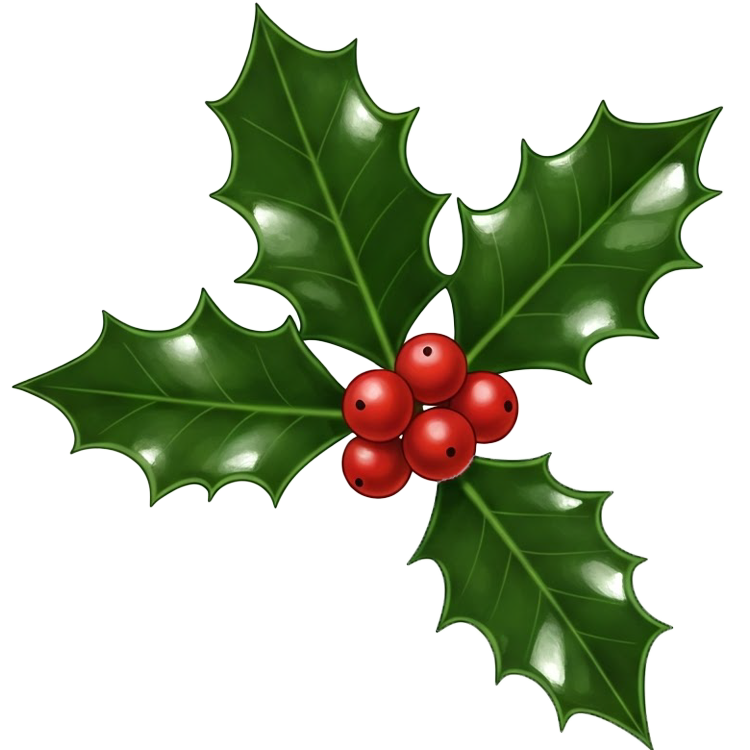 holly แปลว่า ต้นฮอลลี่