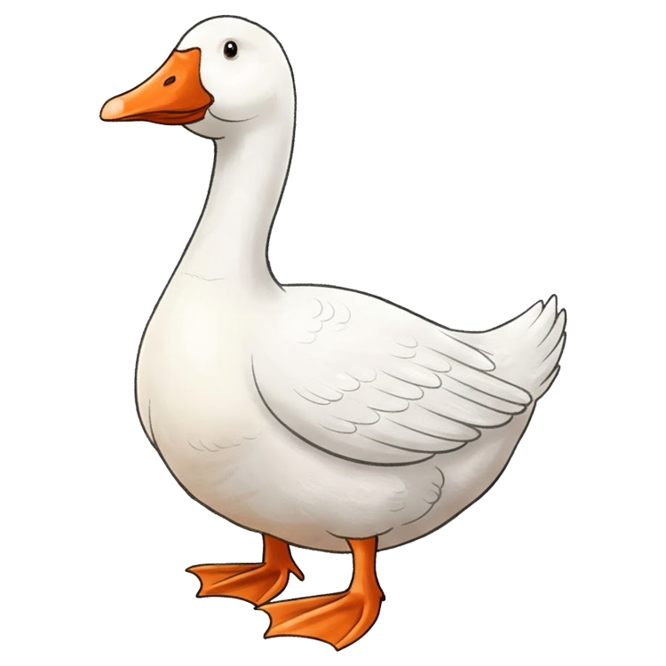 honk แปลว่า ร้องเสียงห่าน